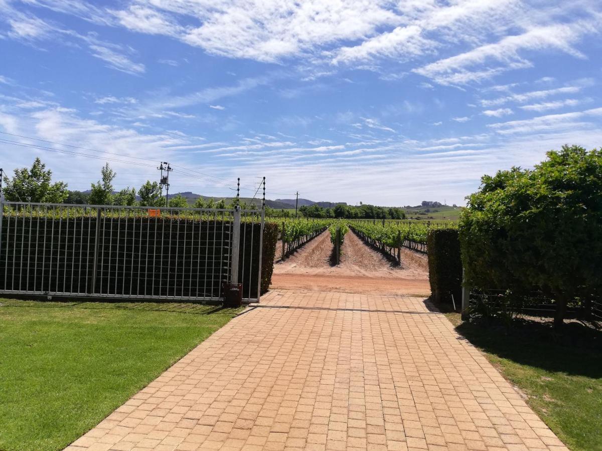 Induku Villa Stellenbosch Exterior photo