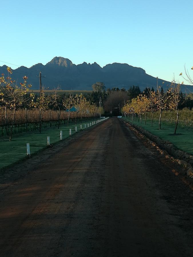 Induku Villa Stellenbosch Exterior photo