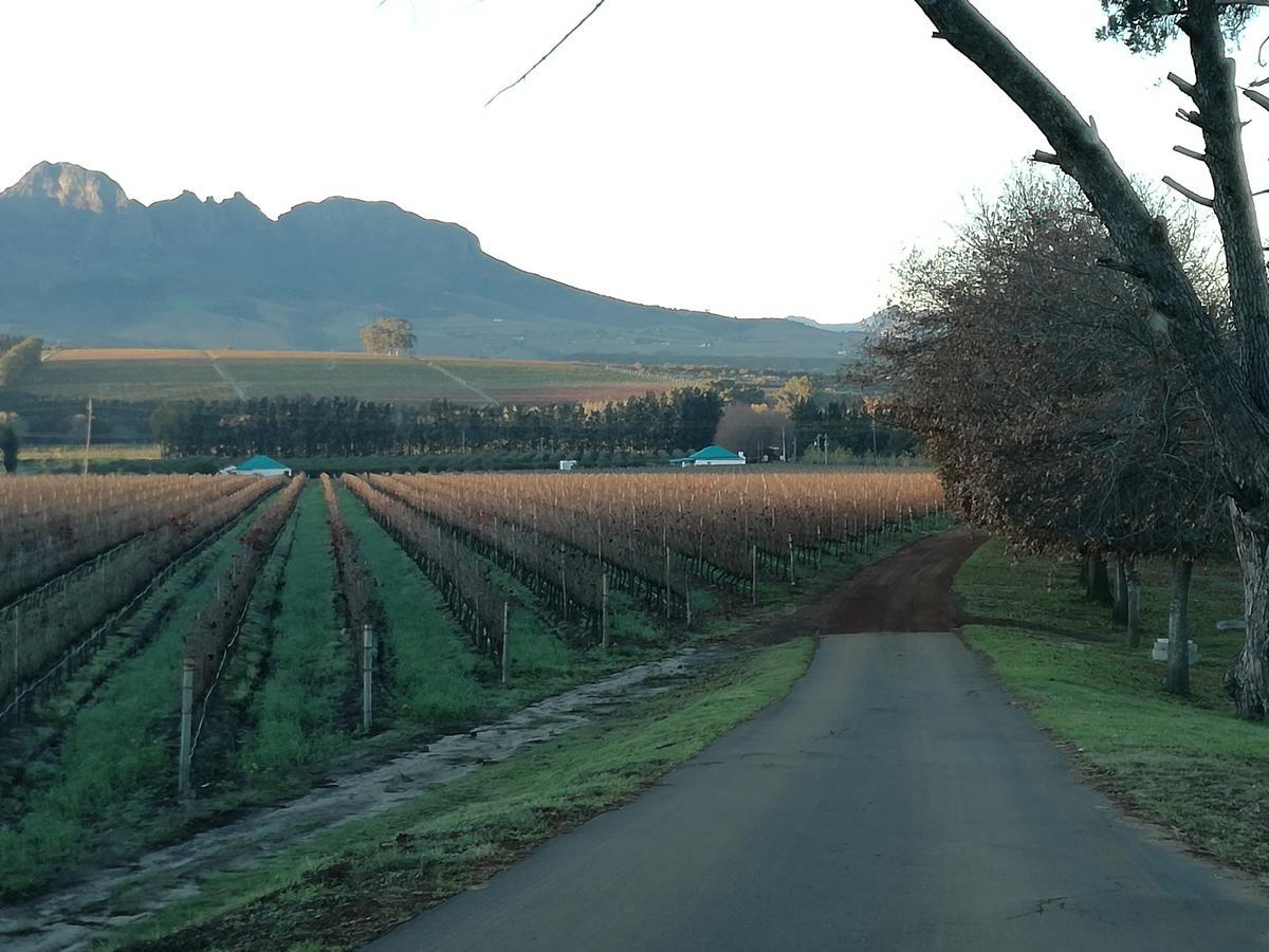 Induku Villa Stellenbosch Exterior photo