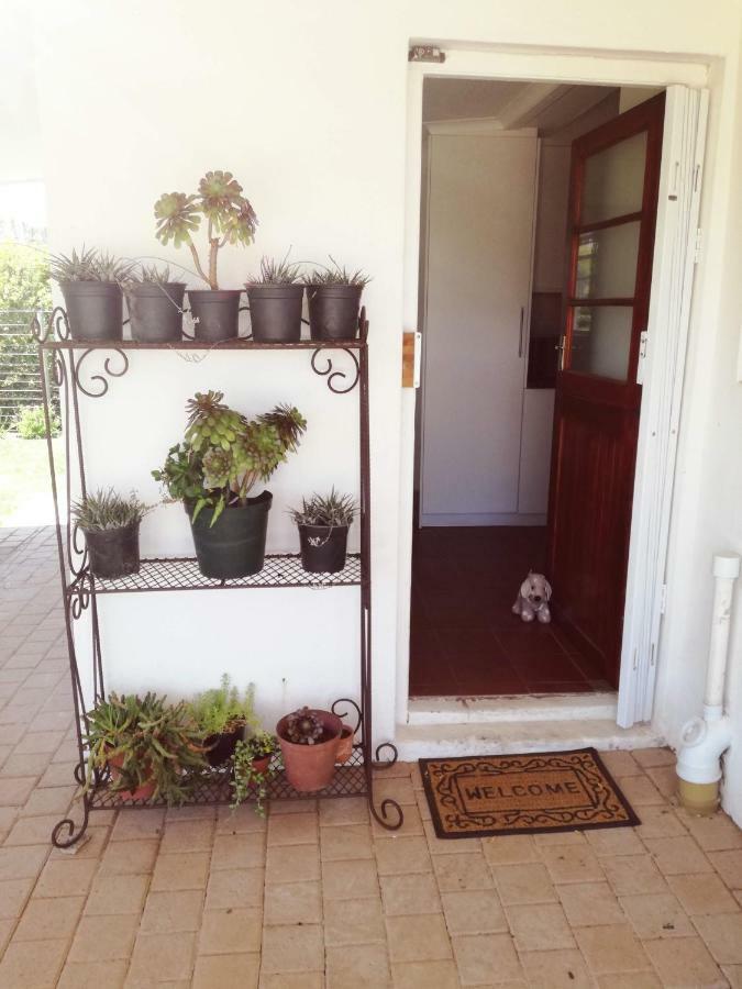 Induku Villa Stellenbosch Exterior photo